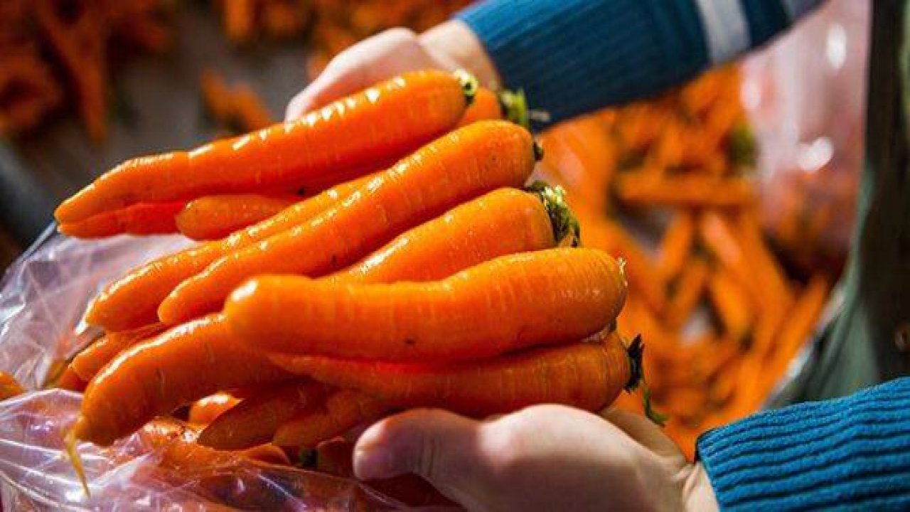 Tarladan sofranıza havucun yolculuğu