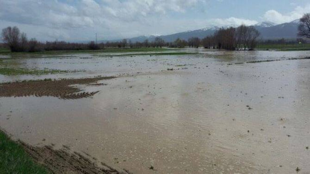 Allah Beterinden Saklasın!