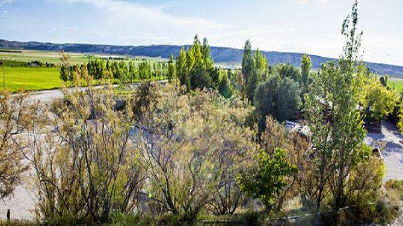 Çöl ortasına vaha yaptı