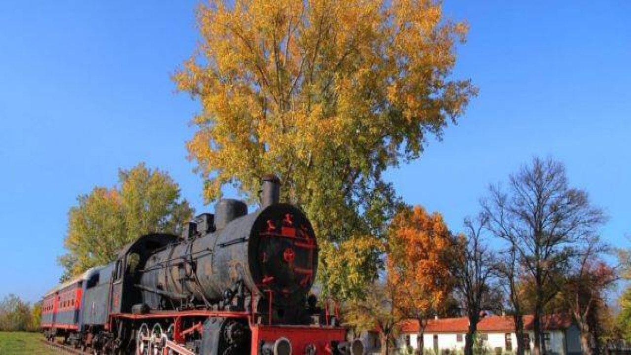 'Gündöndünün' sarısının yerini hazan yaprakları aldı