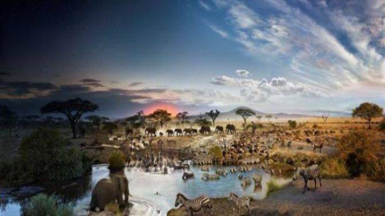 Gece ile gündüz aynı karede