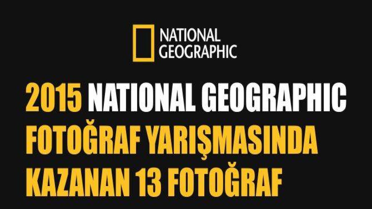 2015 National Geographic Fotoğraf Yarışması Kazananları