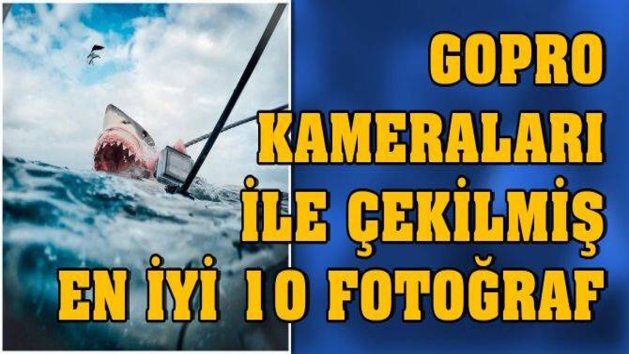 GoPro Kameraları ile Çekilmiş En İyi 10 Fotoğraf