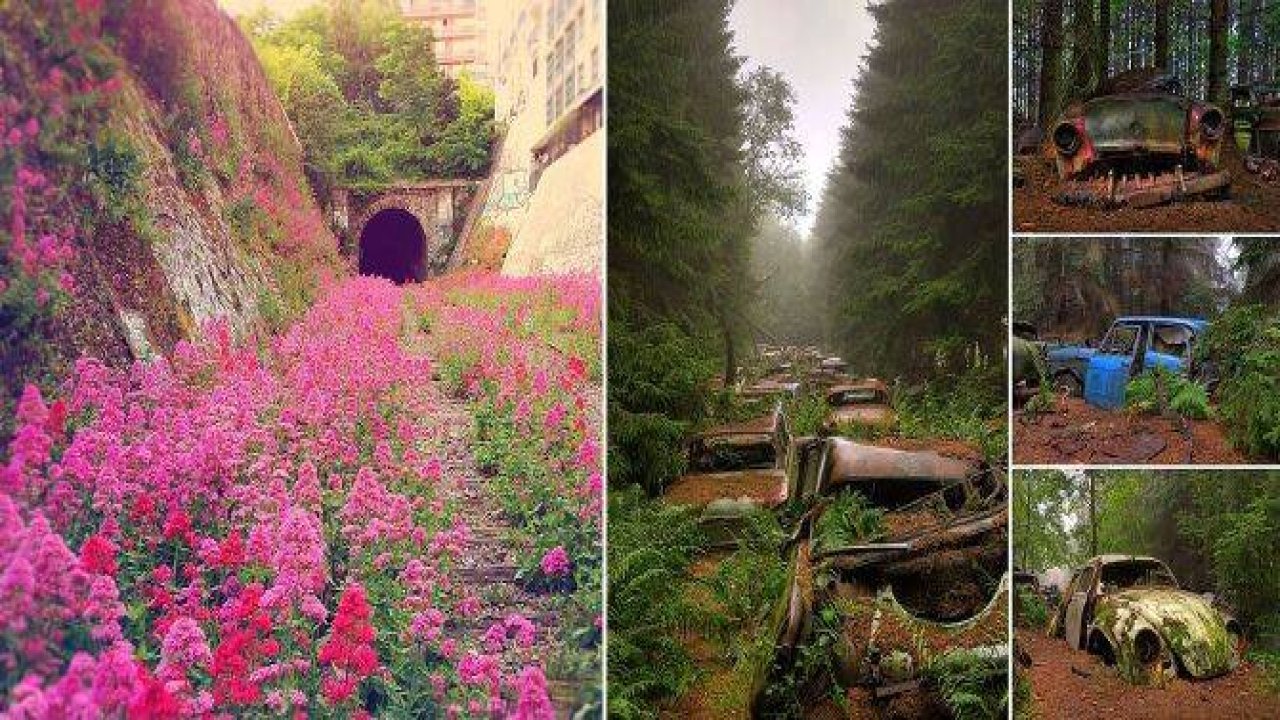 Uygarlıkla Karşı Karşıya Kalan Doğa