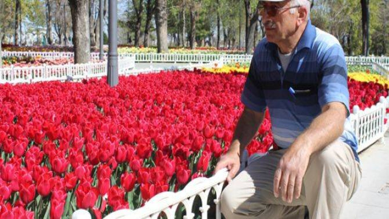 Konya’da lale zamanı