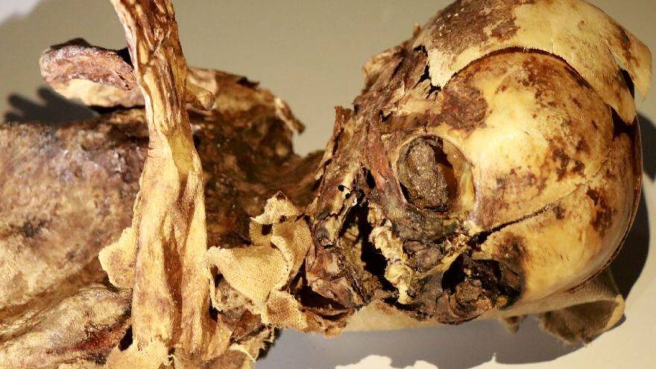 Mumyalar ziyaretçilerini bekliyor