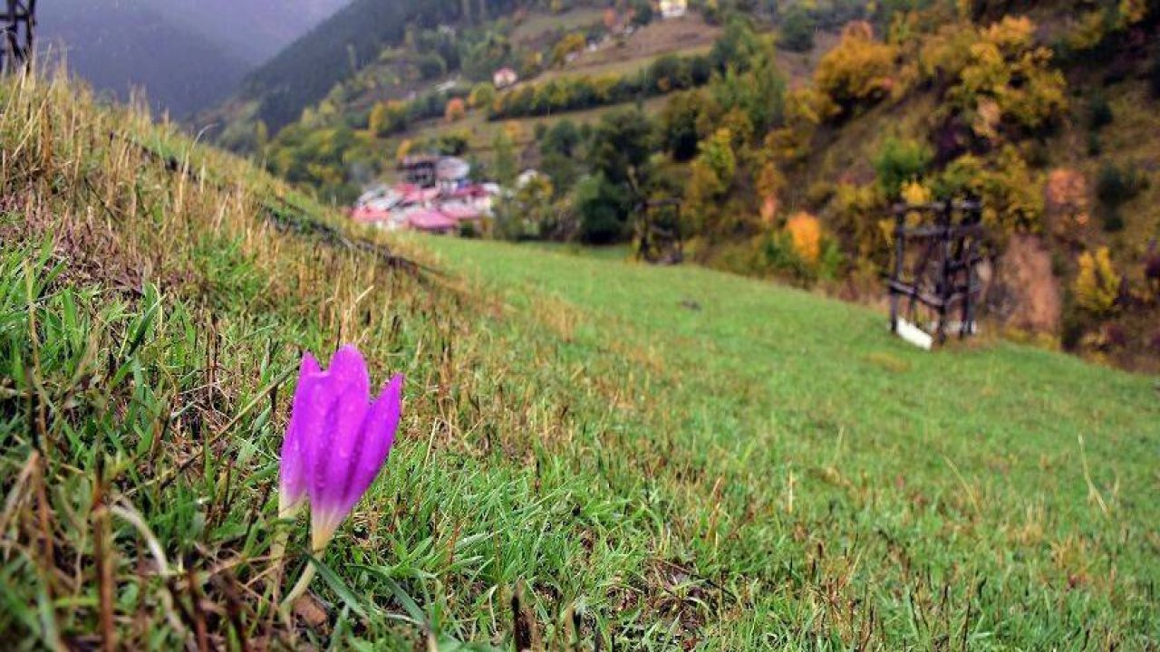 Tarihi İpek Yolu’nda sonbahar bir başka güzel