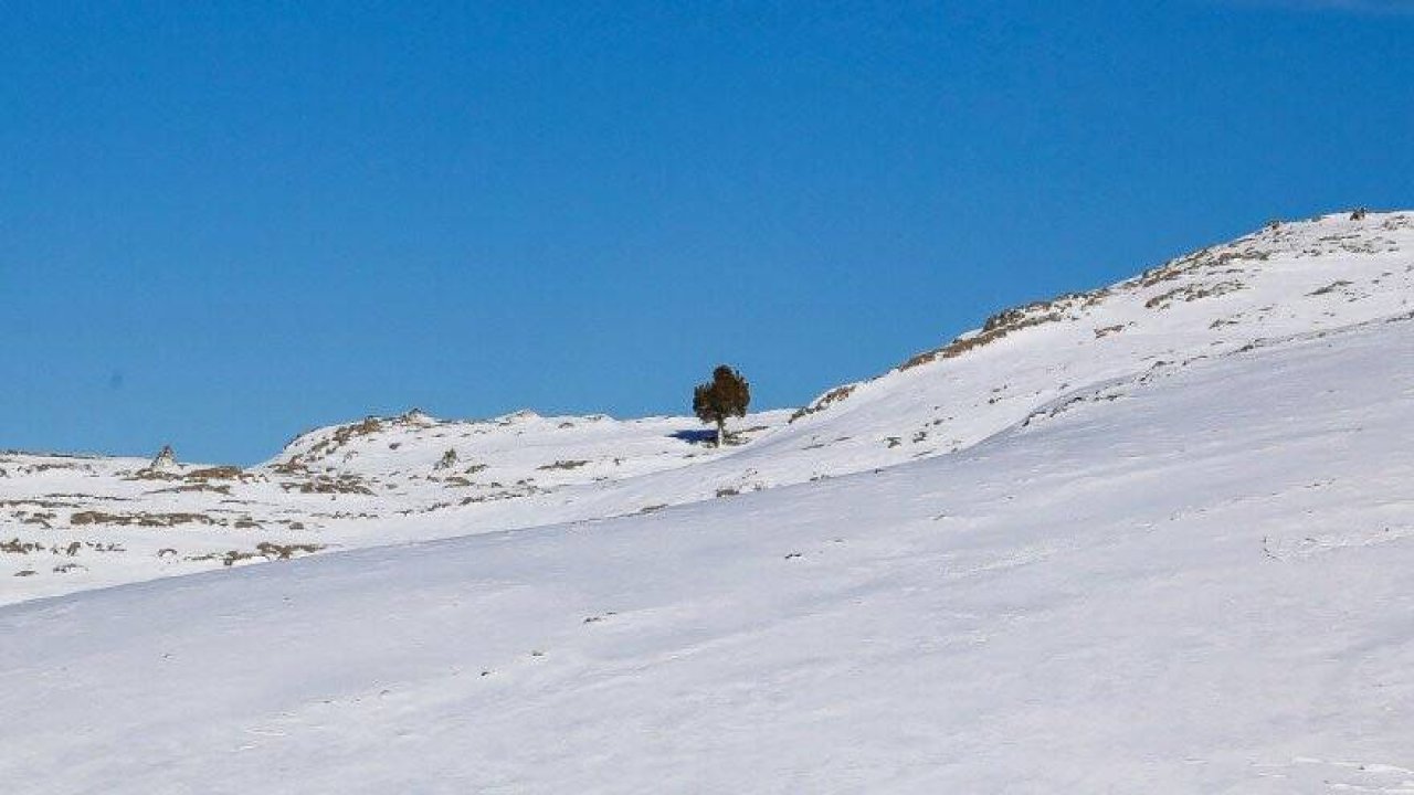 HADİM BEYAZ ÖRTÜ ALTINDA
