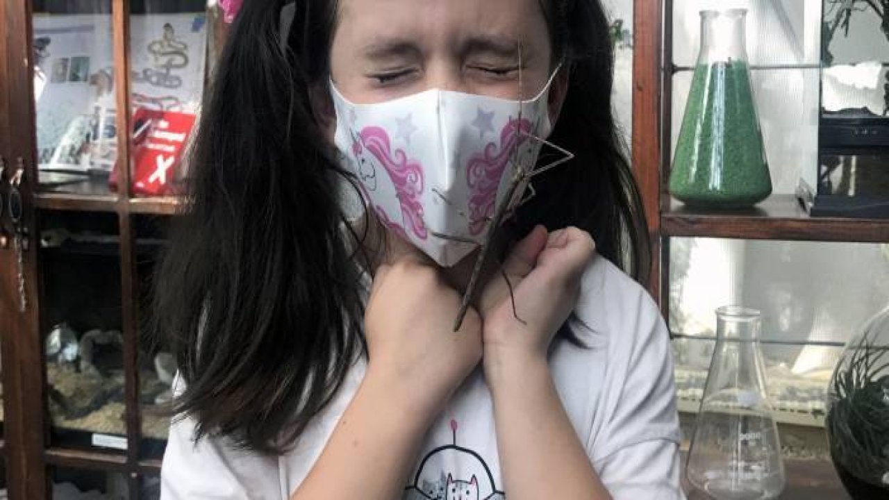 Konya'da Hayalet böcek 'dal' görenleri şaşırtıyor