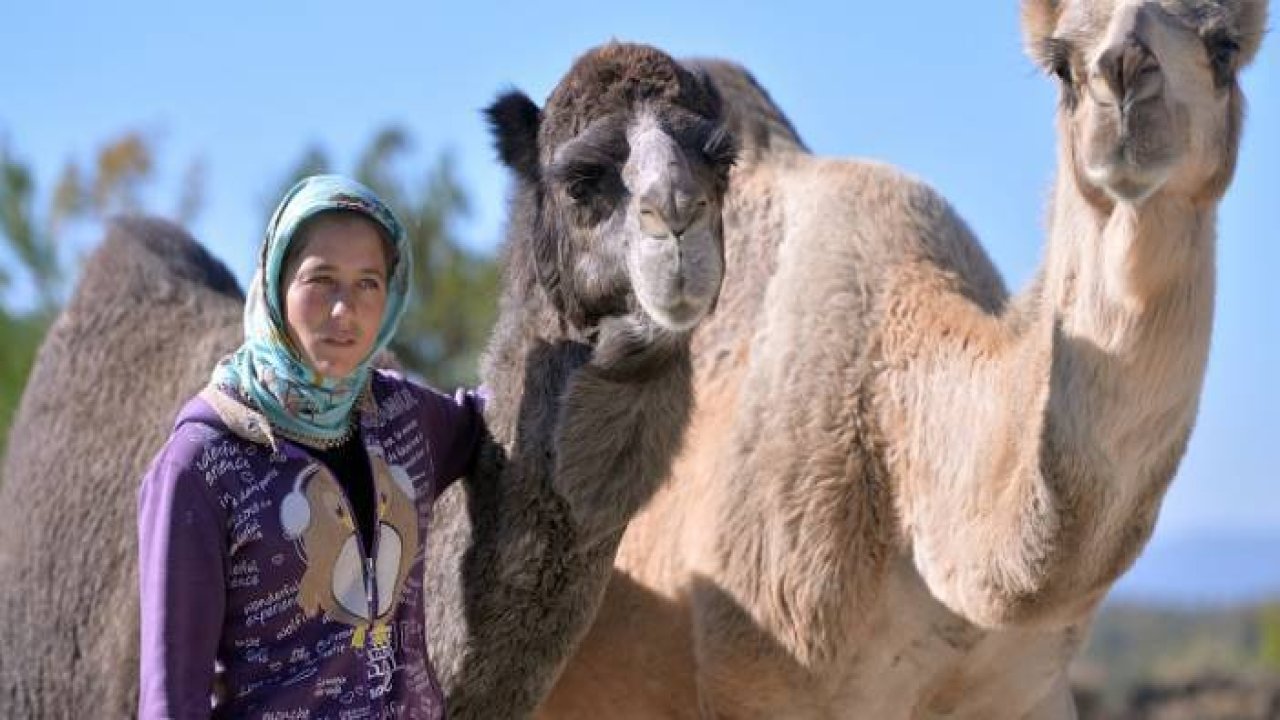 Konya'da bin yıllık  Anadolu yörük geleneği