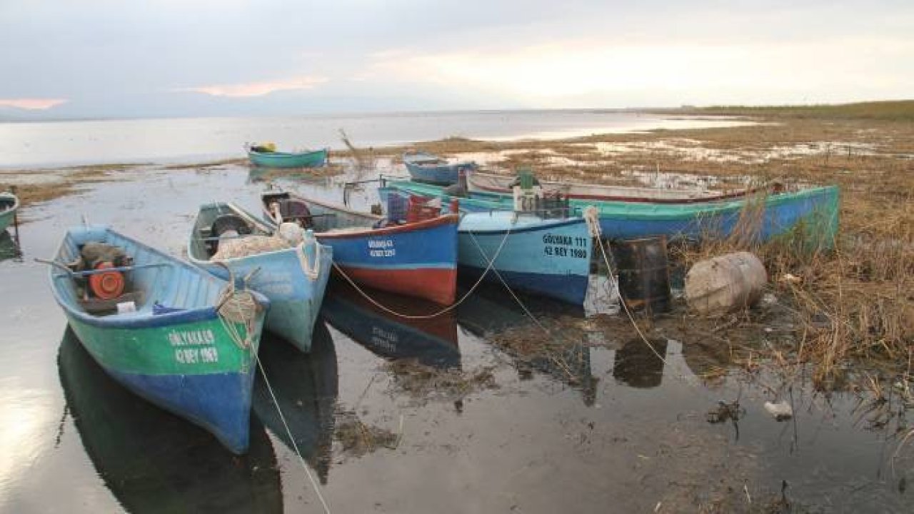 Beyşehir Gölü'nde sular çekildi, kıyılarda sazlıklar oluştu