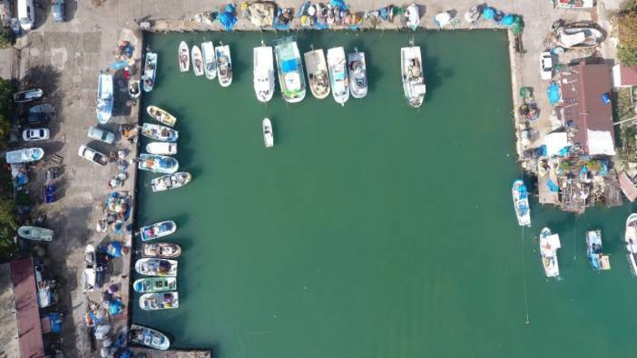 Cezaların artması balıkçılara caydırıcılık sağladı