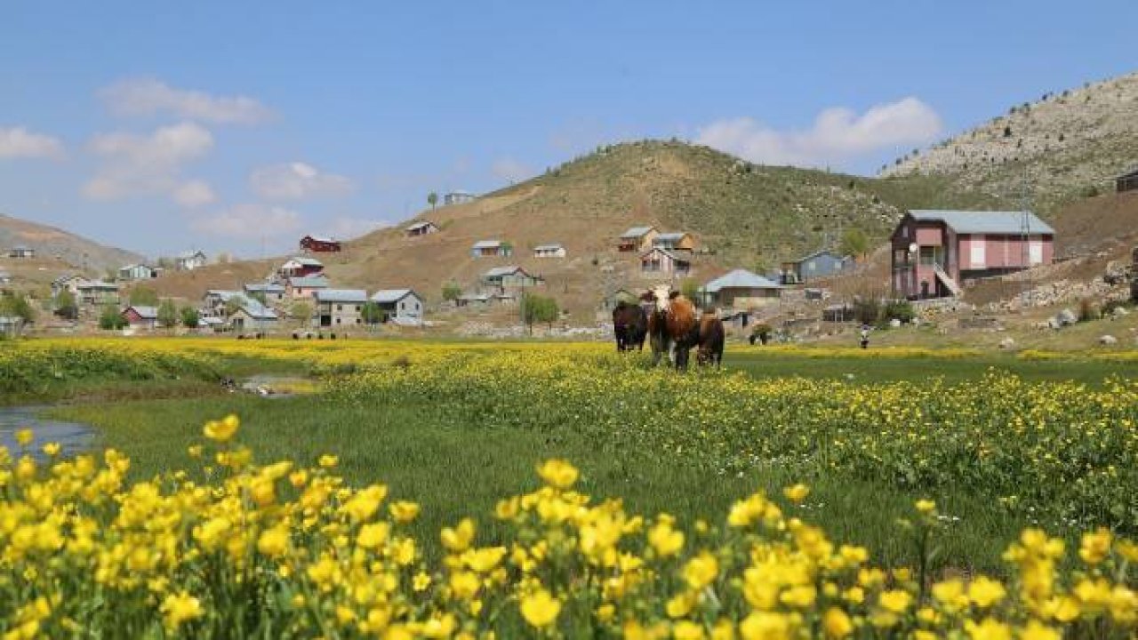 Toros Dağları'ndaki yaylalar, bahar aylarında bir başka güzel