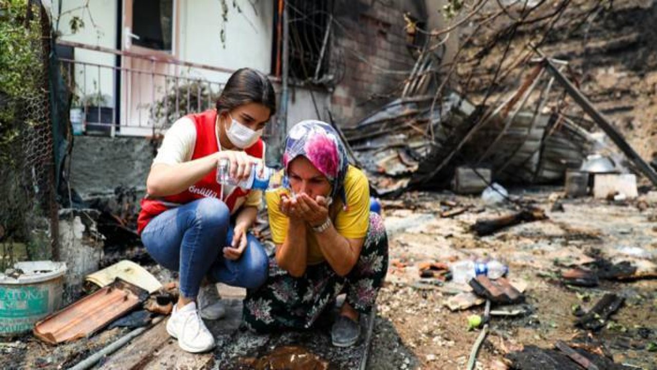 Türkiye'nin ciğerleri yandı