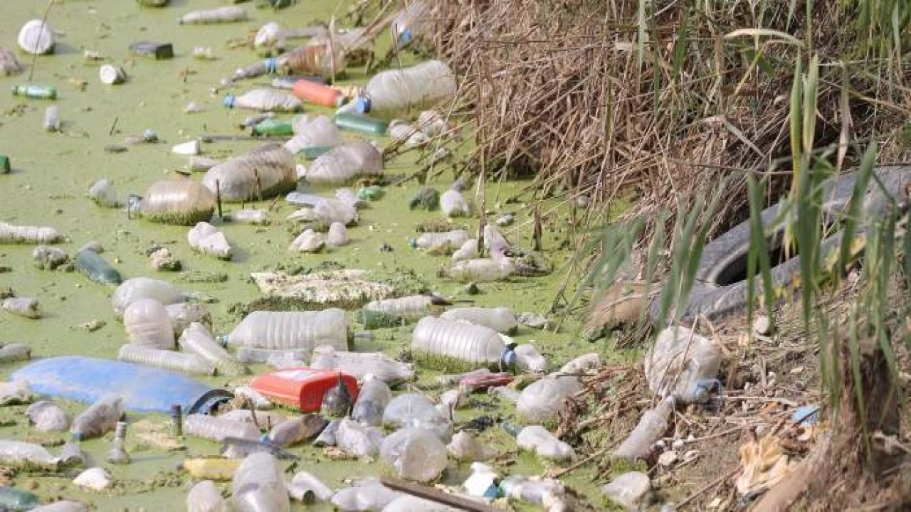 Edirne'de yosun ve çöplerle kaplı tahliye kanalında temizlik çalışması başlatıldı