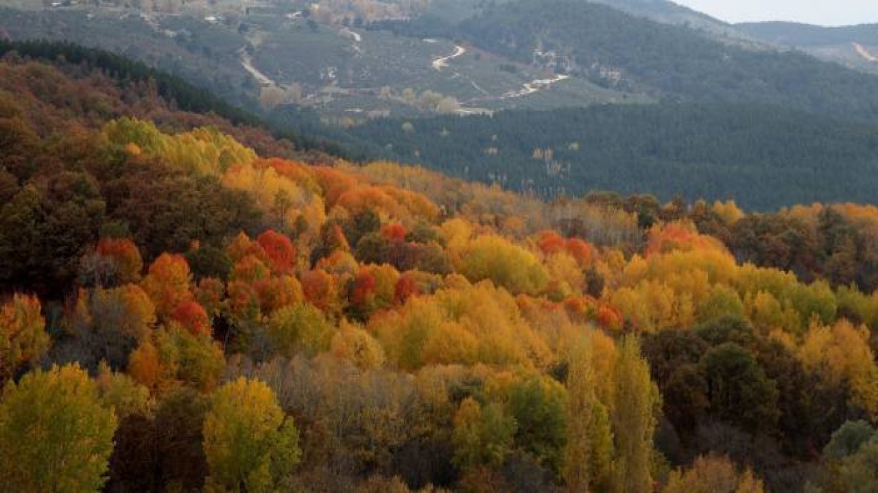 Kütahya'daki Boyalı Dağı sonbahar renklerine büründü
