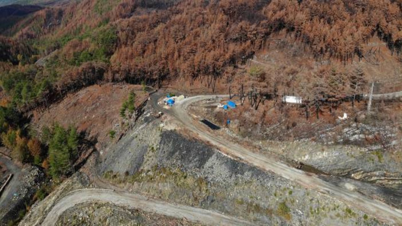 Muğla'da yanan ormanlık alanlar 20 milyon fidanla yeniden yeşerecek