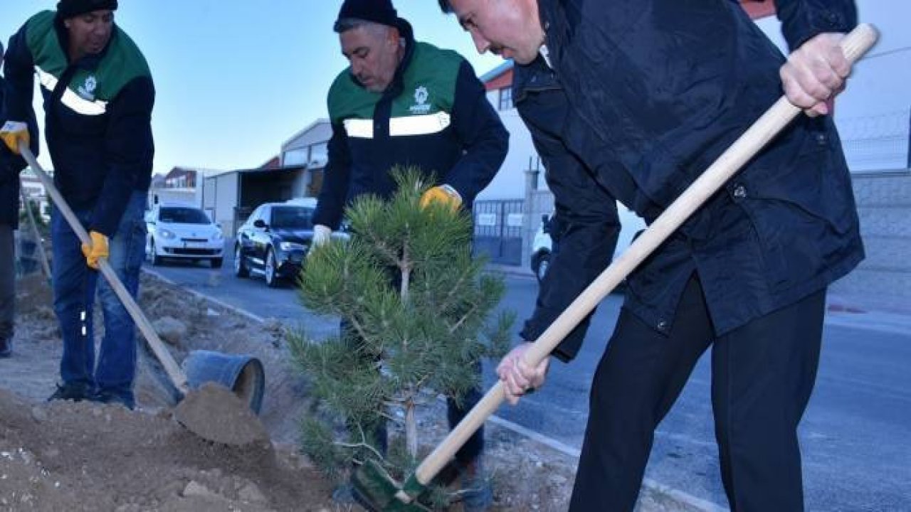 Milli Ağaçlandırma gününde Konya'dan manzaralar