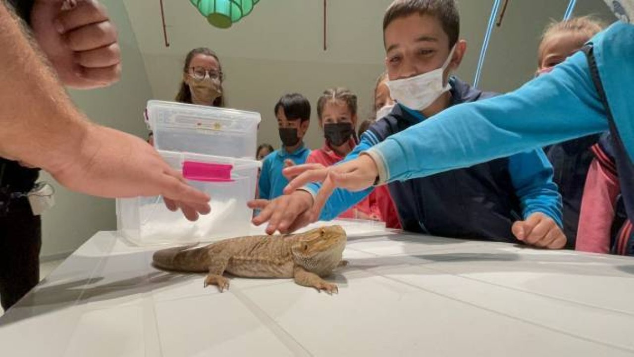 Öğrenciler Konya Tropikal Kelebek Bahçesi'nde egzotik hayvanlarla tanışıyor