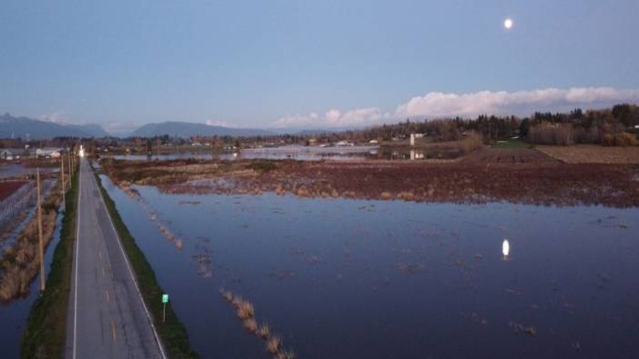 Kanada'da tarım arazileri sular altında kaldı