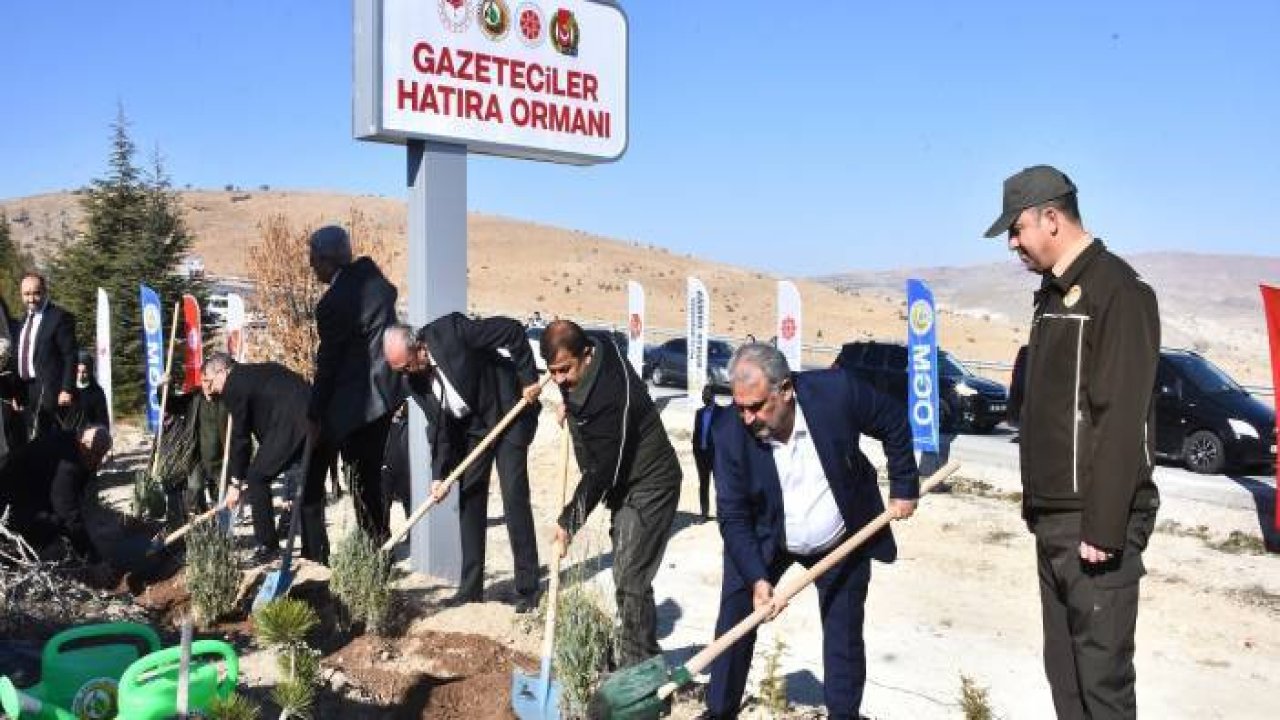 Konya basını Hatıra Ormanı'na 5 bin fidan dikti