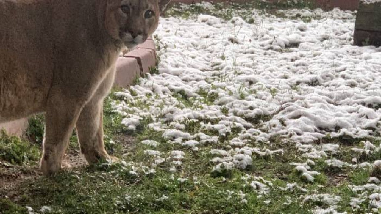 Kara verdikleri tepki tebessüm ettirdi
