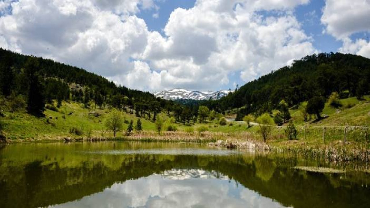 Murat Dağı ilkbaharın renklerine büründü