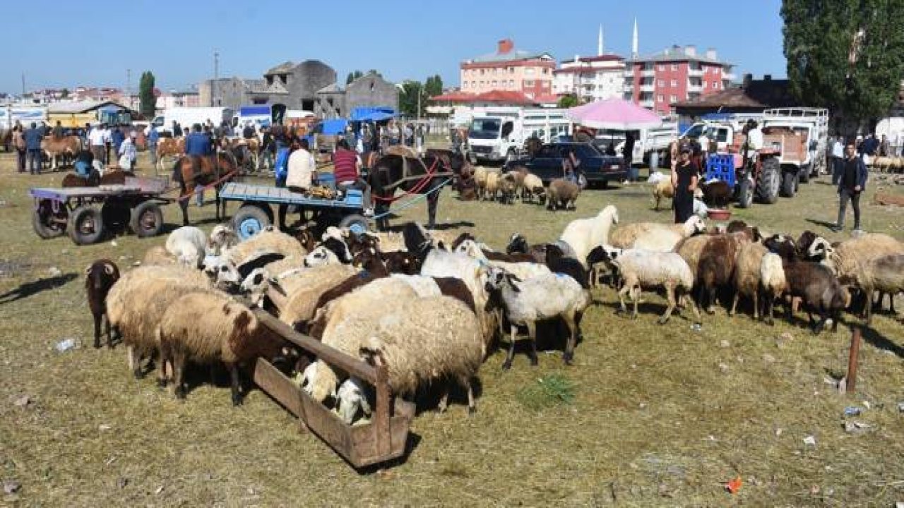 Kurban pazarlarında yoğunluk yaşanıyor