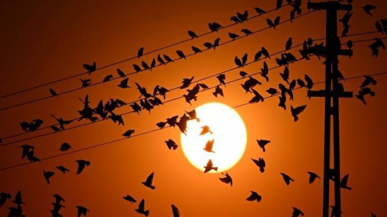 Van'da gün batımı