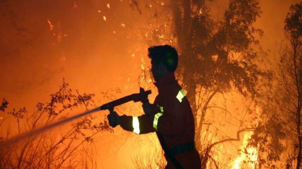 Yeşil vatanın isimsiz kahramanları