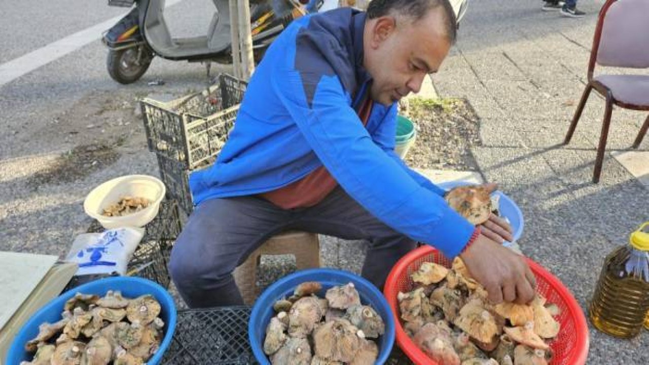 Bunu kullanan hastane yolunu unutuyor