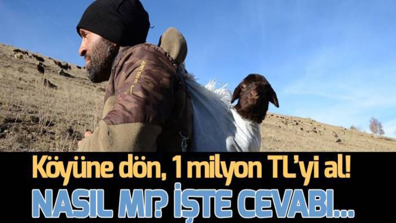 Köyüne dönene 1 milyon TL! Valizini alan gidiyor...