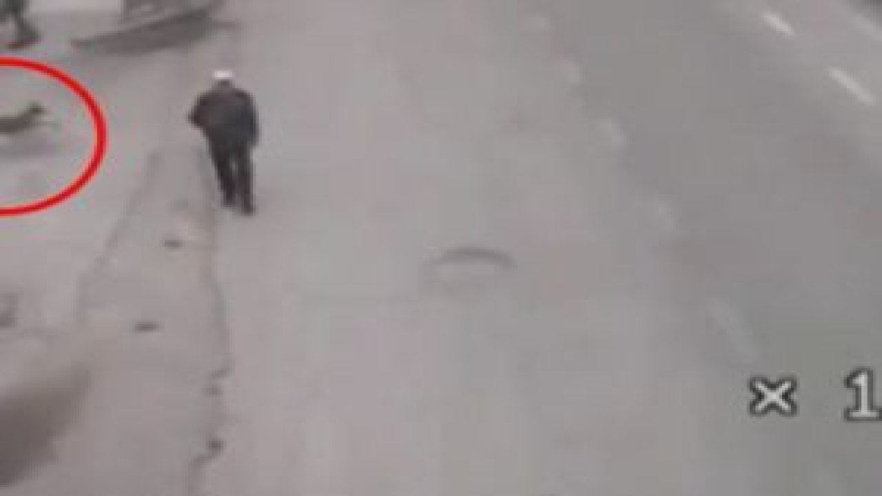 Polisi görünce avını yere bırakıp topukladı