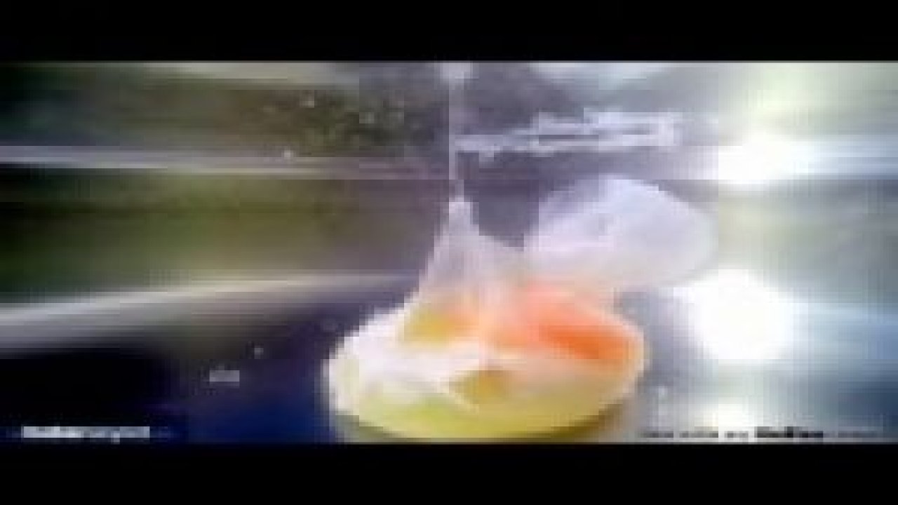 Kaynayan suda yumurta