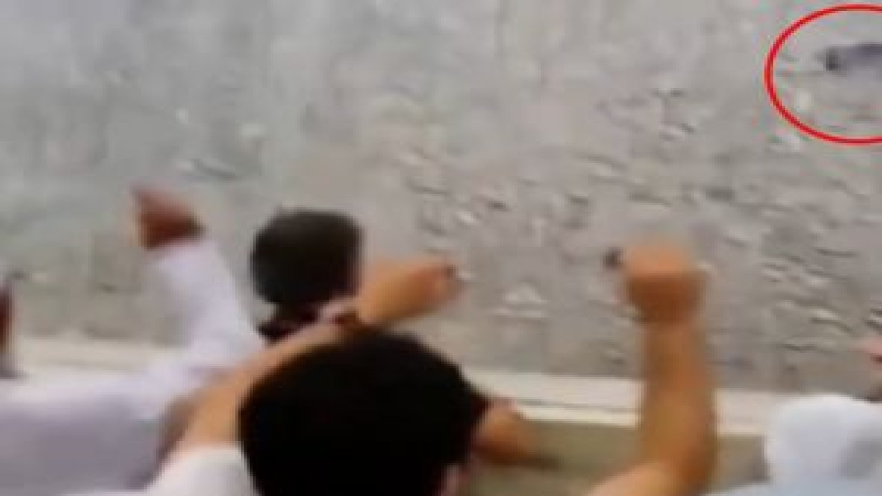 Şeytana taş yerine iPhone gitti!