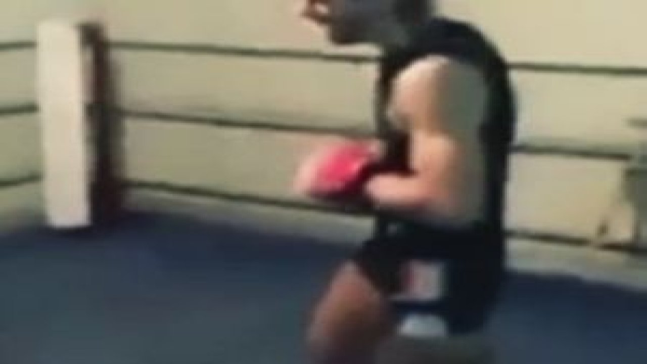 Yaşlı Adam VS Genç Boksör