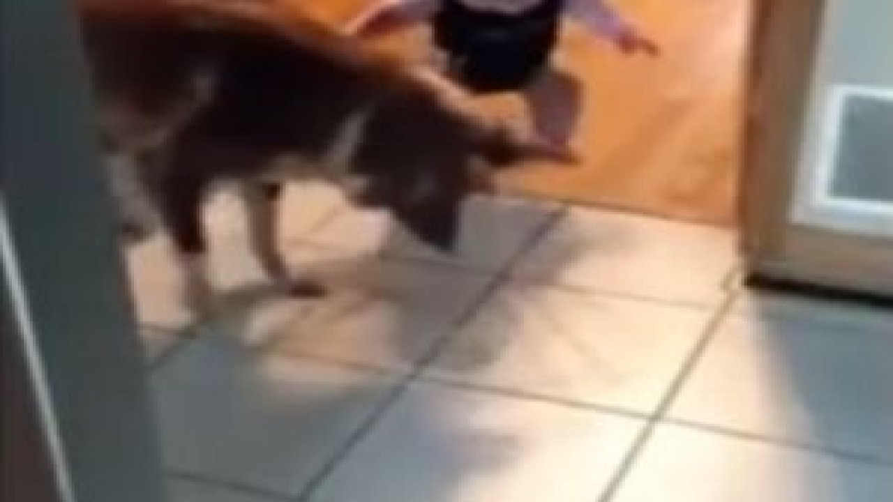 Bebek Nasıl Zıplar ?