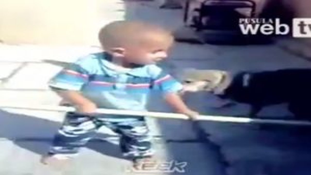 Köpeği Isıran Bebek