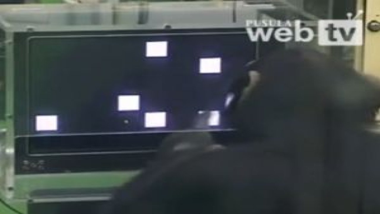 Bunu yapabilir misiniz?