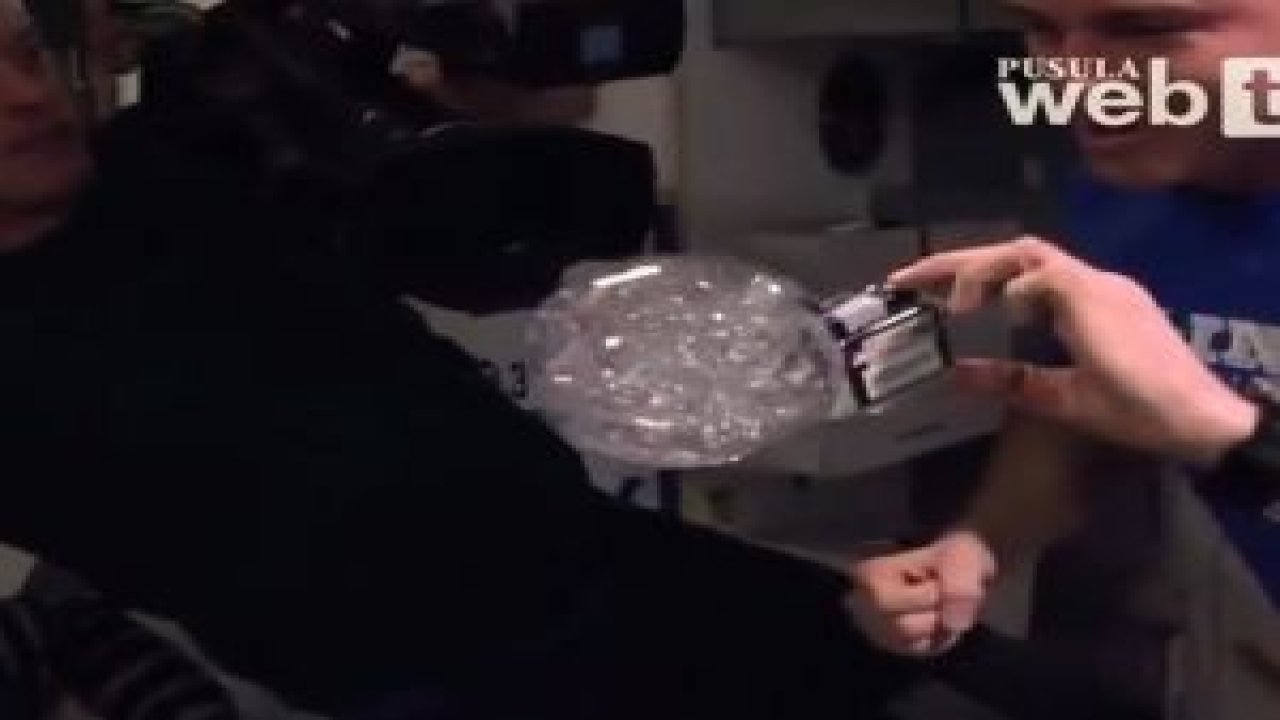 Uzay İstasyonunu merak edenler !