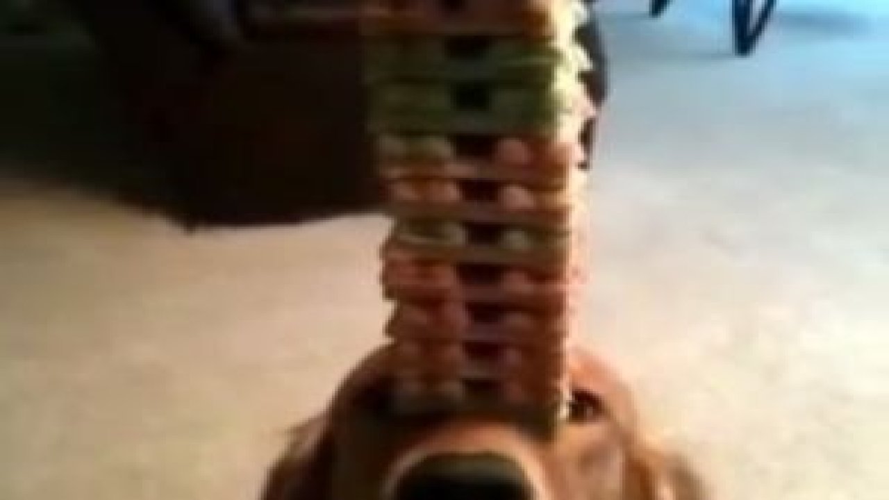 Dünya Rekoru Kırdı !