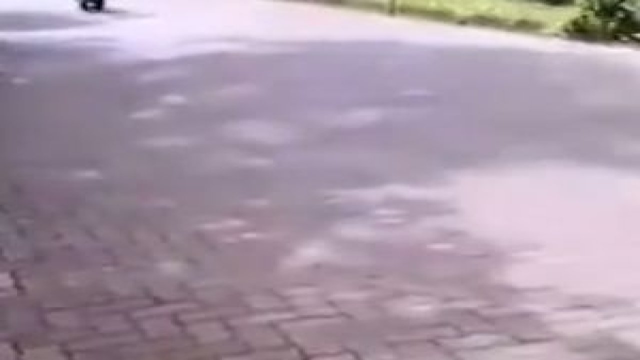 Bir motor kazası daha !