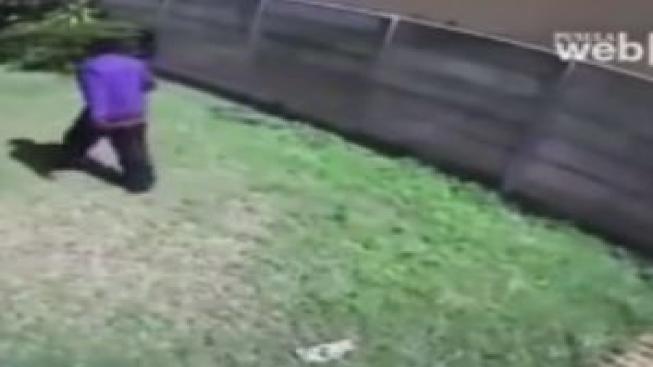 Köpekten böyle kaçıyor !