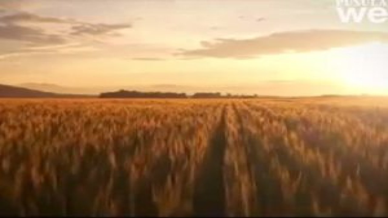 İşimizi Aşkla yapıyoruz 1071'den beri