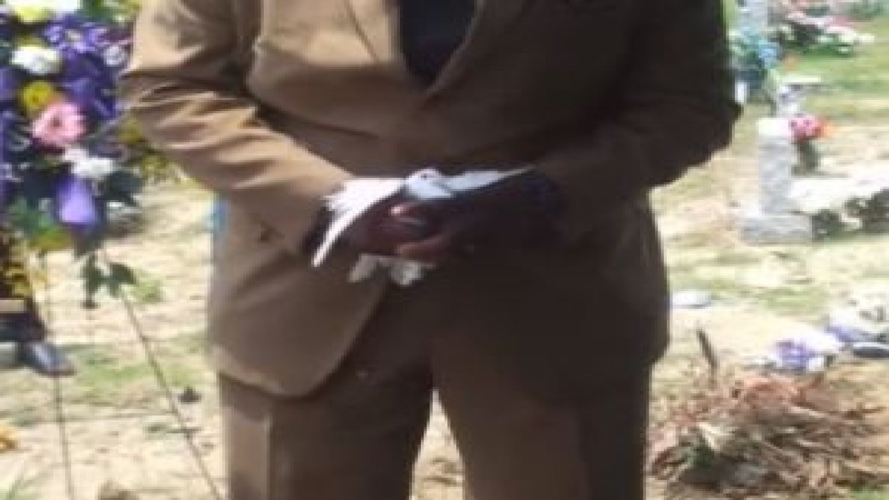 Barış Güvercini (Komik)