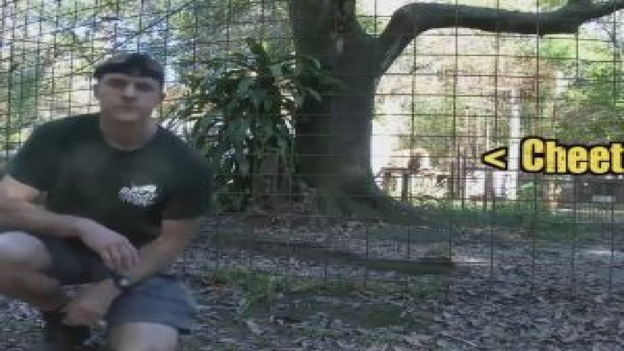 Vahşi Hayvanlara Sırt Dönmeyin !