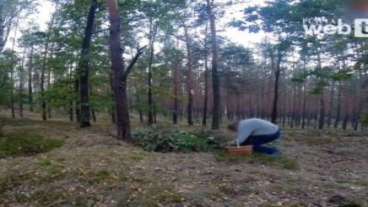 En İyi Zombi Şakaları