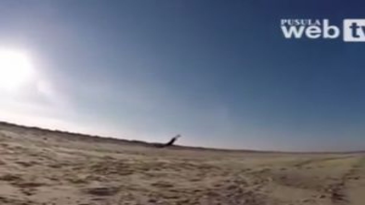 Rüzgarlı Havada Uçmaya Çalışmak ...