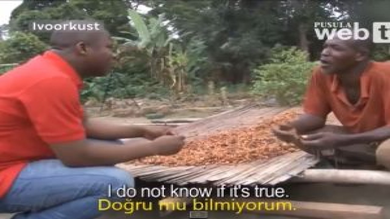 İlk Kez Çikolata Yiyen Kakao İşçileri