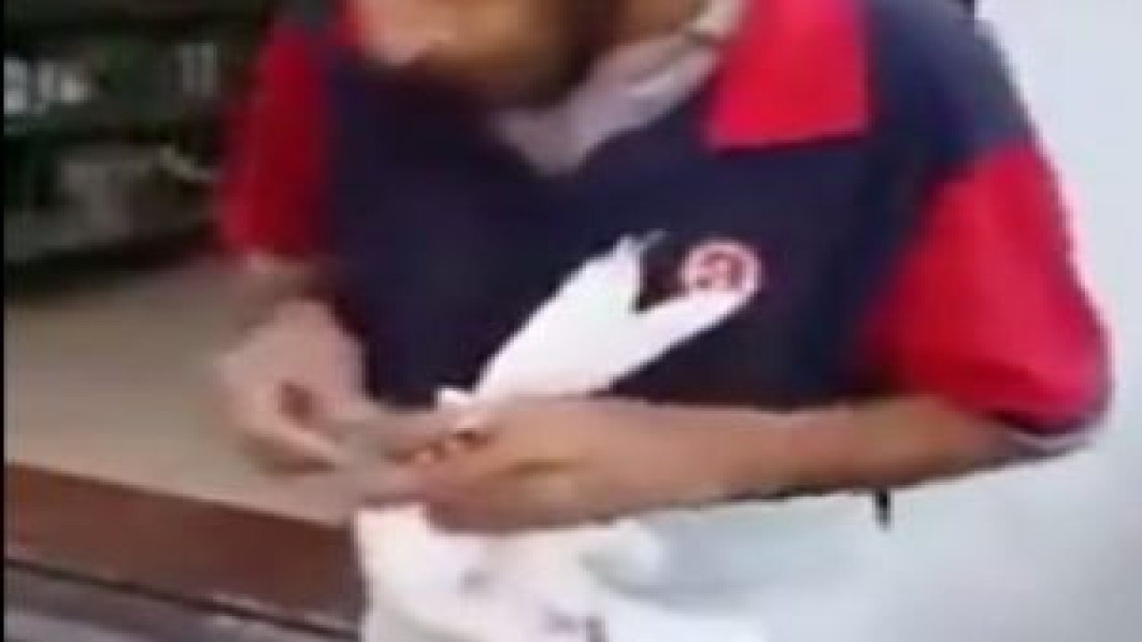 Mısır'da Güvercin Besleme